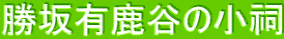 ����L���J�̏��K
