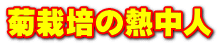 $B5F:OG]$NG.Cf?M(B