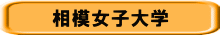 相模女子大学