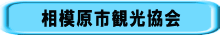 相模原市観光協会