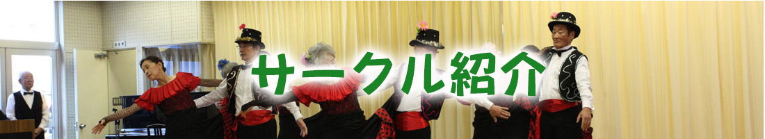 レスポンシブ画像