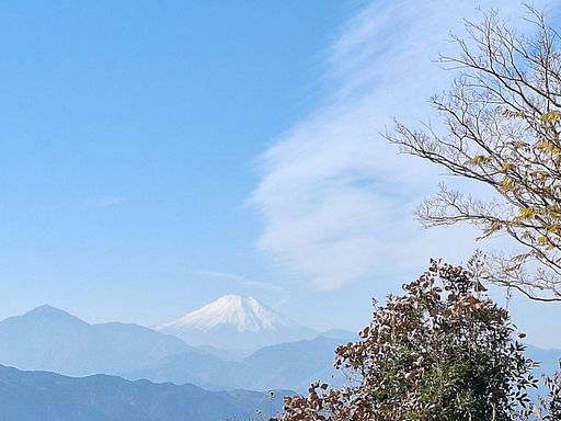 １月のトップ画像