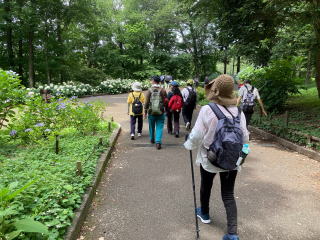 北公園のを歩く参加者の写真