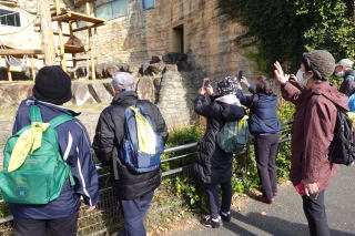 1日ウォーク多摩動物園動物の写真を撮るメンバー