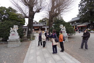 ミニウォーク新春の亀ヶ池八幡宮2