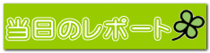 当日のレポート