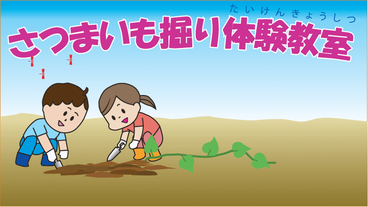さつまいも掘り体験