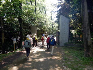 一本杉公園