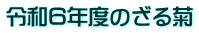 令和6年度のざる菊