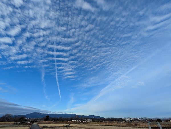 くも