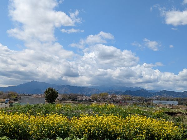 ごがつ