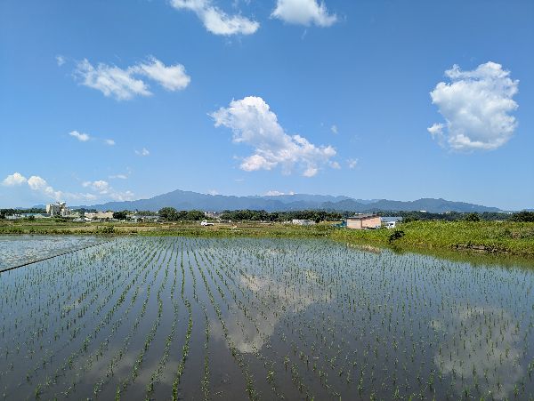 くも