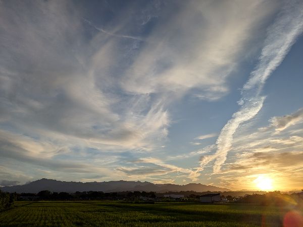 くも