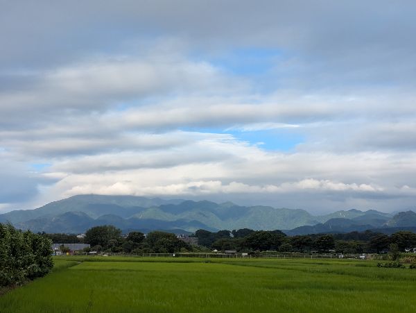 くも
