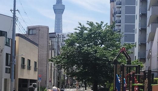 歴史散歩（事業報告）