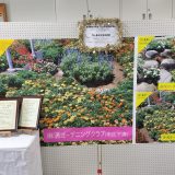 花のまちづくり花壇コンテスト、ゴールド花壇認定の展示
