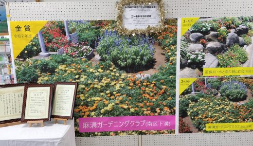 花のまちづくり花壇コンテスト、ゴールド花壇認定の展示