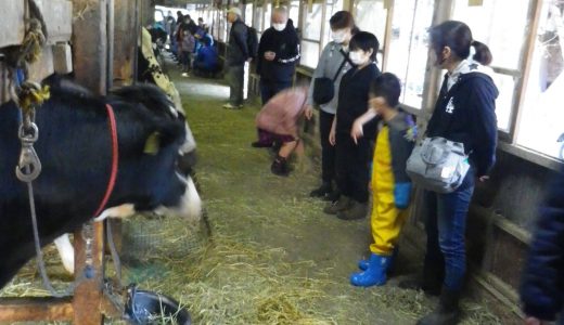 第2回牧場体験と飼育観察（事業報告）