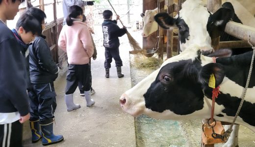 第3回牧場体験と飼育観察（事業報告）