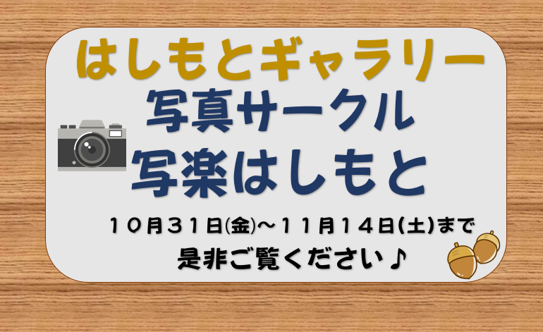 はしもとギャラりー予告