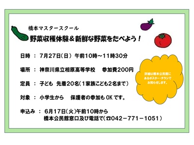 橋本マスタースクール