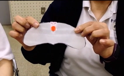 飛ぶ種の理科工作の写真