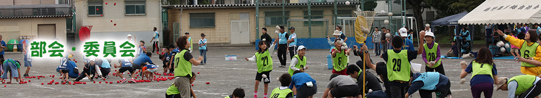 レスポンシブ画像