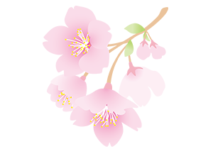 桜