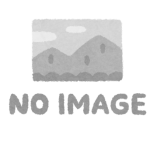 画像無し