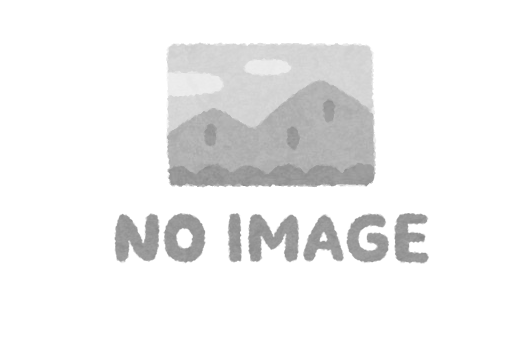 画像無し