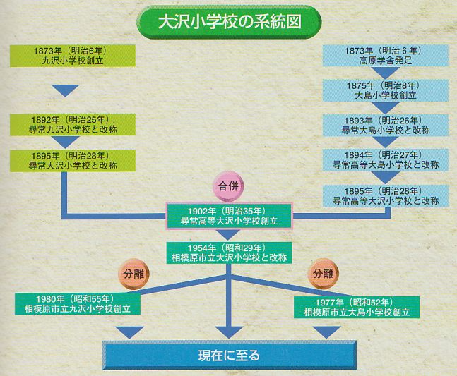 大沢小学校の系統図