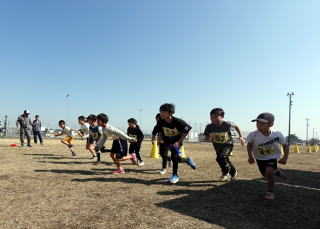 ���w���~�j�}���\���̗l�q