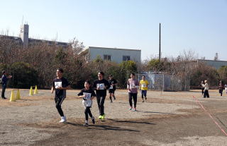 ��ʎQ���̃~�j�}���\���̗l�q