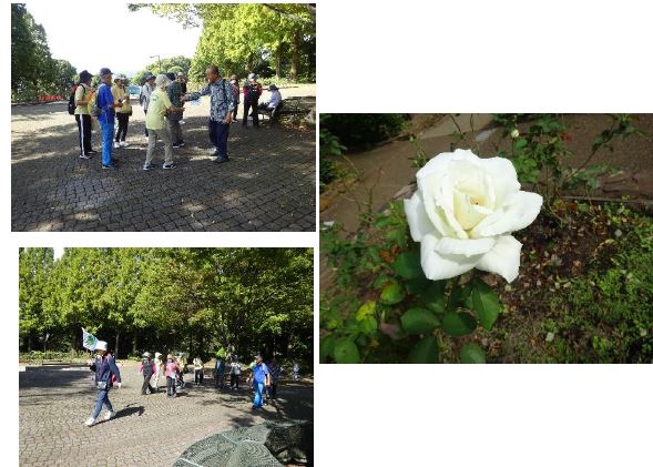 ウォーキング北公園