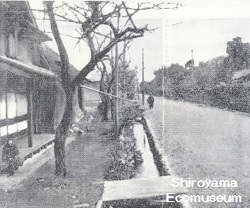 ���h�n��𗬂�錴�h�p��