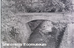 �����n��̏�����ɉ˂��錴�h�p���ˋ�