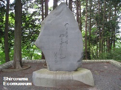 �������Y���w��