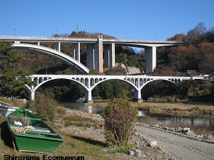 ���q���E�V���q��