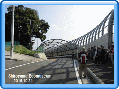 �t���[��