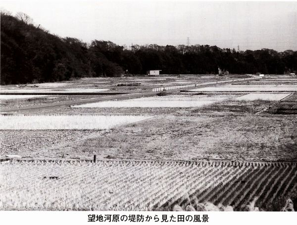望地河原の田