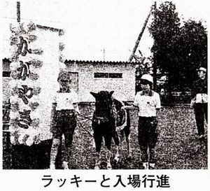 ポニー