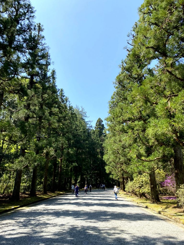 武蔵陵墓地参道の写真