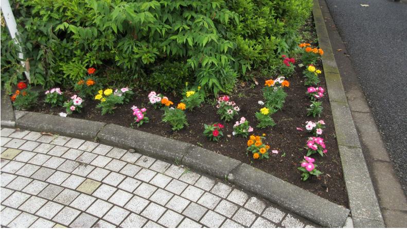 春の花苗植栽